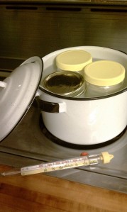Yogurt in jars in pot with hot water