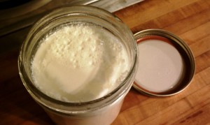 Freshly made yogurt in jar